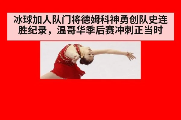 冰球加人队门将德姆科神勇创队史连胜纪录，温哥华季后赛冲刺正当时